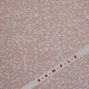 Ascot Antique Lace carpet, Glen Eden