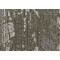 A Premonition Modula  Phenomena - 118 Carpet, Lees Carpets