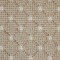Cameron Safari. Glen Eden. Carpet