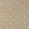 Celeste Levana. Glen Eden. Carpet