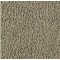 Friezetti Stone Path. Karastan. Carpet