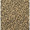 Here Kitty Jaguar. Robertex. Carpet