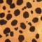 Out of Africa Cheetah. Glen Eden. Carpet