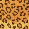 Out of Africa Leopard. Glen Eden. Carpet