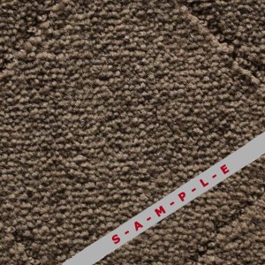 Imagine Montebello Brown carpet, Richmond Carpet