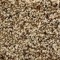 Anise Sandstorm carpet, Richmond Carpet