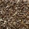 Juniper  Chocolate Swirl carpet, Richmond Carpet