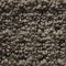 Spirit Earthy Grey carpet, Richmond Carpet