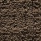 Spirit Montebello Brown carpet, Richmond Carpet