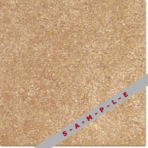 Accord II Bahama Beach carpet, Kraus Carpet