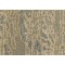 A Premonition Modula Telepathy - 106 Carpet, Lees Carpets