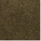 Accord II Smokey Quartz. Kraus Carpet. Carpet