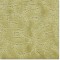 Alluring Touch Green Tea. Kraus Carpet. Carpet