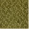 Andorra Jalepeno. Kraus Carpet. Carpet