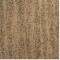 Briardale Mocha. Kraus Carpet. Carpet