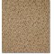 Camden Gold Strike. BARRETT Carpets. Carpet