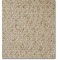 Camden Remain Neutral. BARRETT Carpets. Carpet
