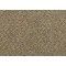 Doctor Hugo Carpet, Bigelow