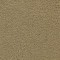 Dover Biscuit. Godfrey Hirst. Carpet