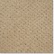 Durban Flax. Kraus Carpet. Carpet