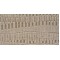 Parissii Silver Shores Carpet, Atlas Carpet Mills