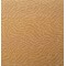 Roar Primal. Robertex. Carpet
