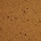 Classic Leopard. WE Cork. Laminate