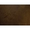 Timeless Baroque Castle. WE Cork. Laminate