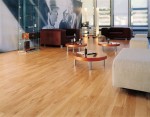 Americas Choice Cabinets & Flooring, Foley, , 36535