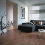 Bills Carpet & Furniture Center, Henrietta, , 14623
