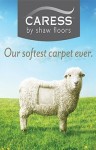 Carpet World Flooring, Canyon, , 79015